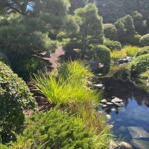 Meet your Posher, Eleni